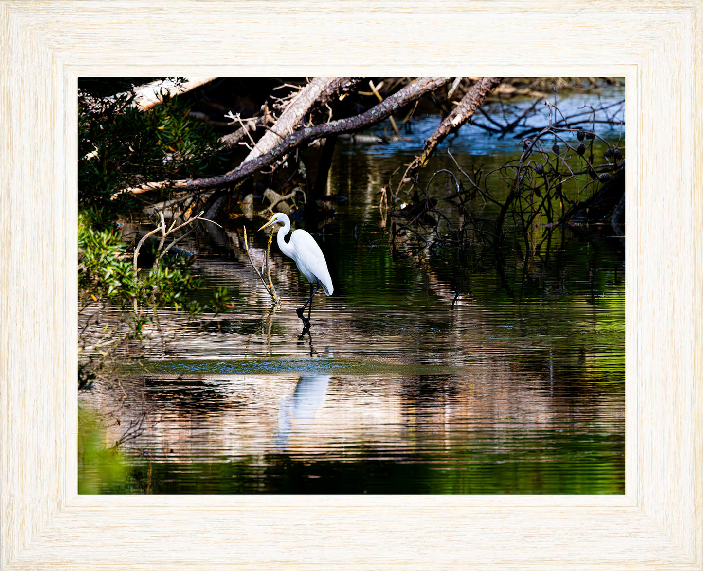 Solitude -- Digital Print