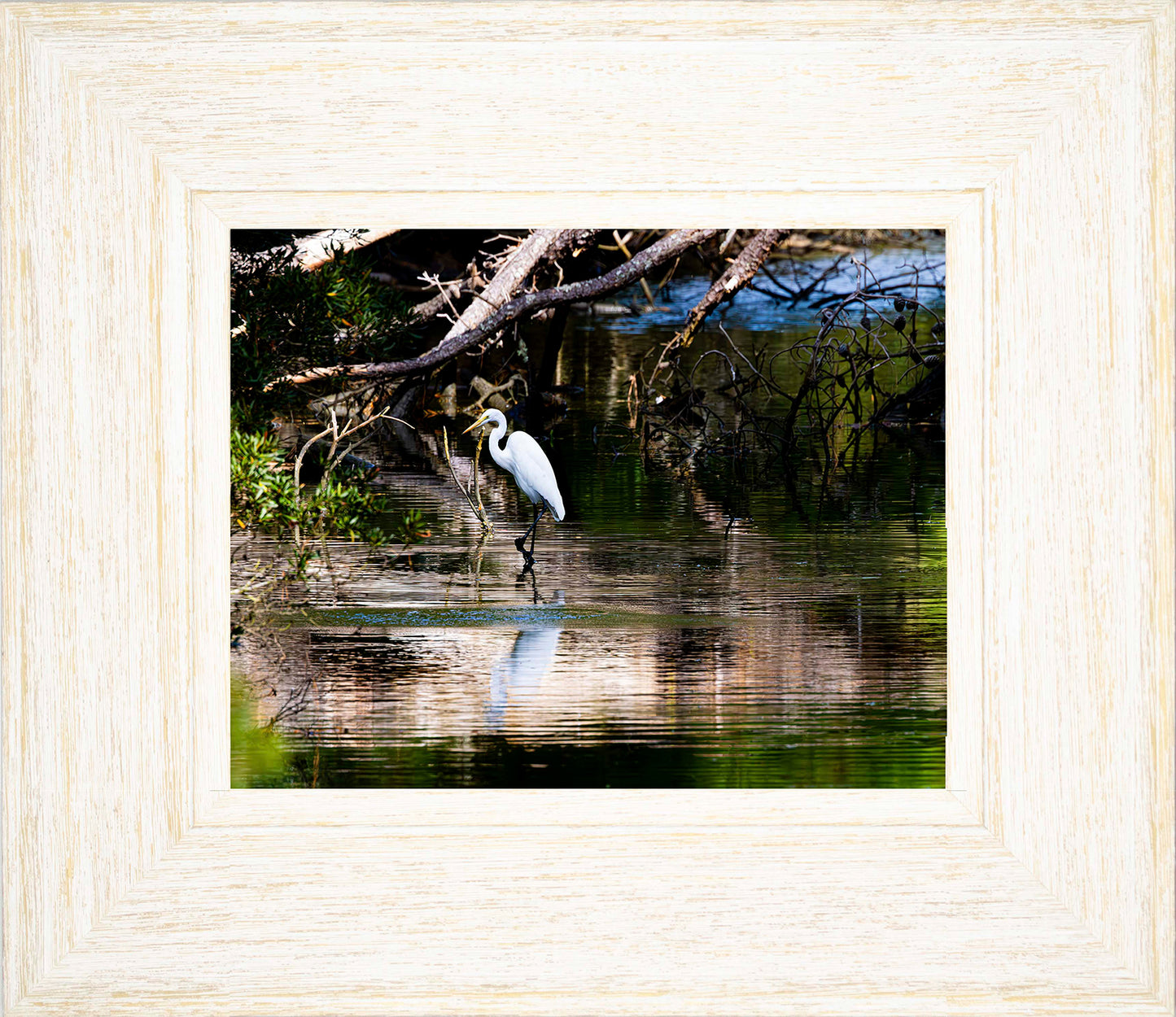 Solitude -- Digital Print