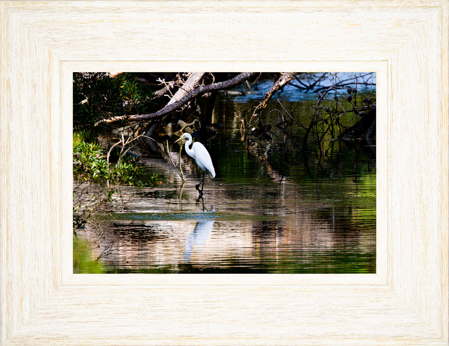 Solitude -- Digital Print