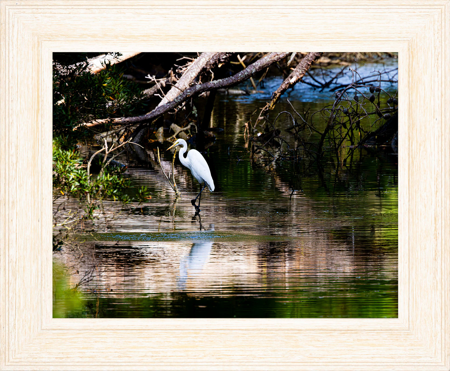 Solitude -- Digital Print