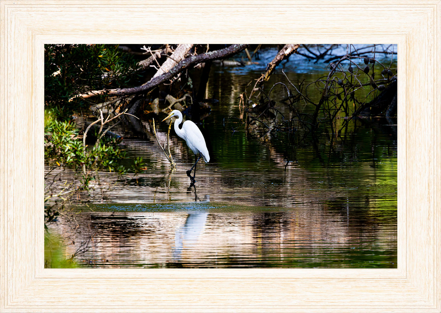 Solitude -- Digital Print