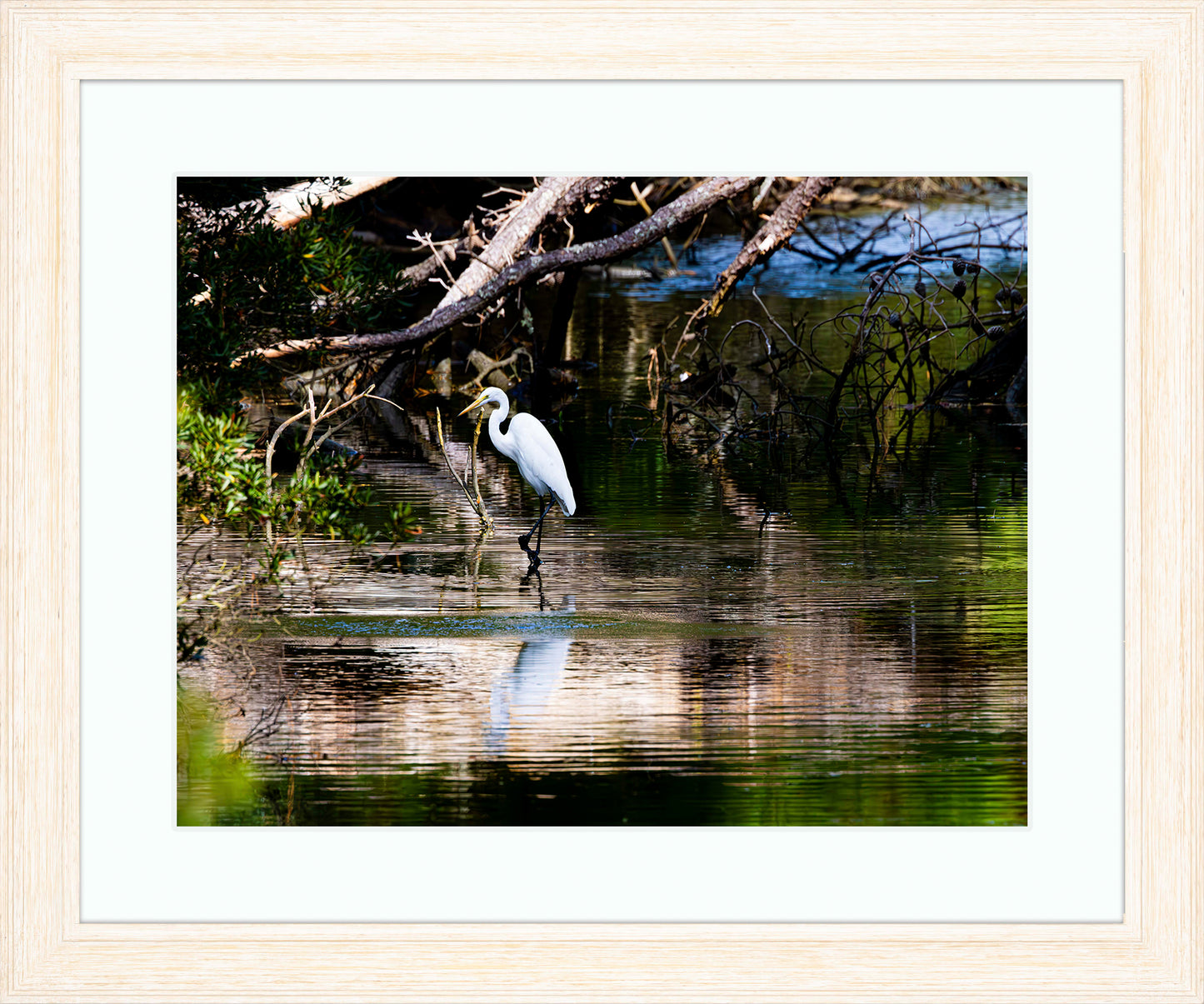 Solitude -- Digital Print