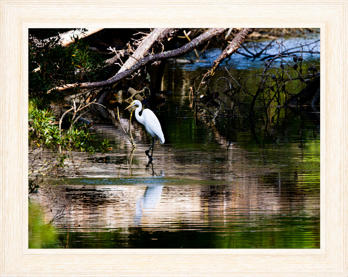 Solitude -- Digital Print