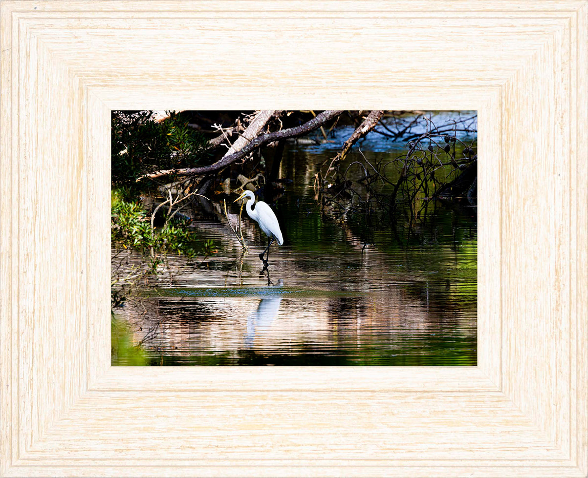 Solitude -- Digital Print