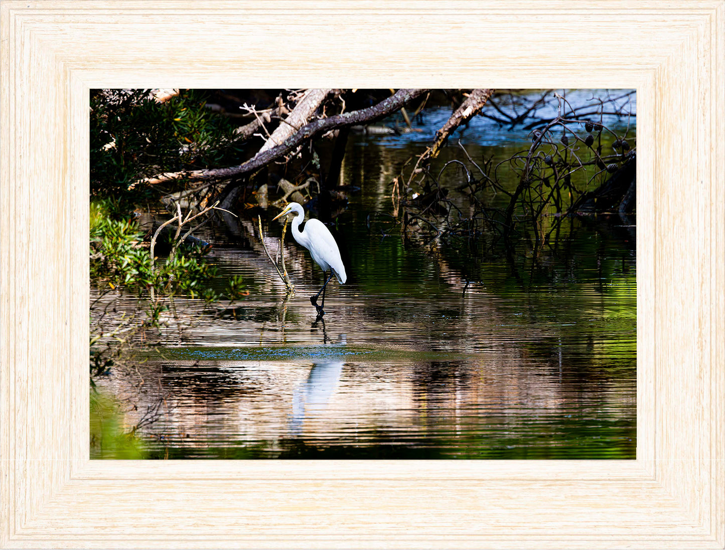 Solitude -- Digital Print