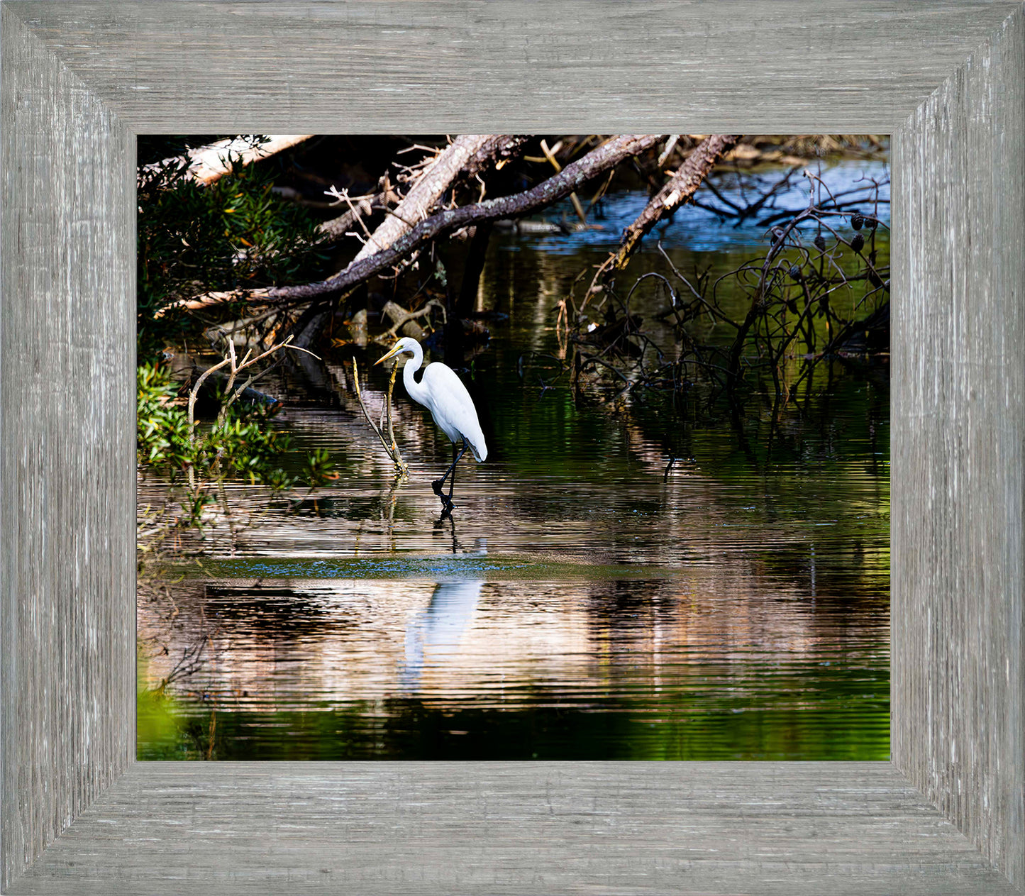 Solitude -- Digital Print