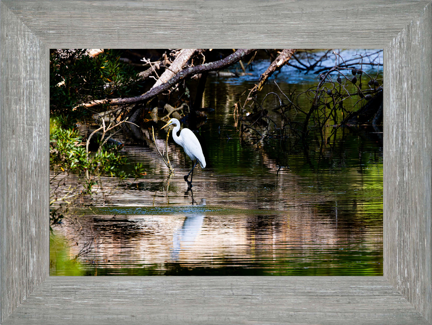 Solitude -- Digital Print