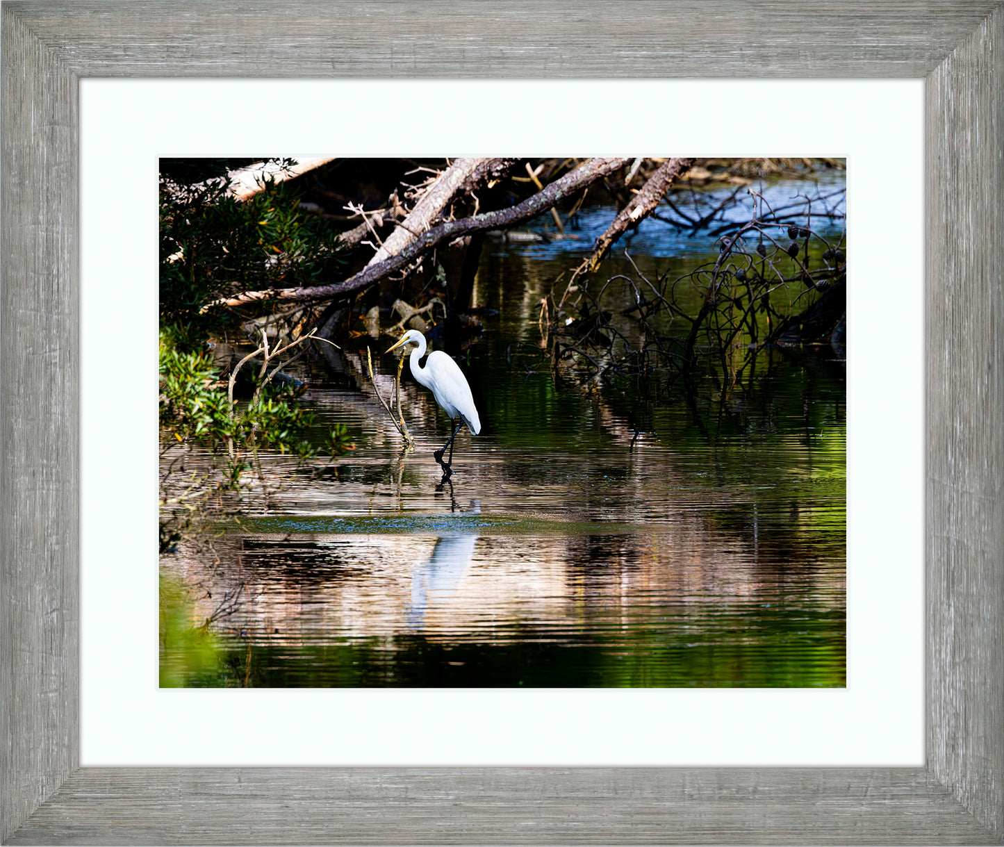 Solitude -- Digital Print