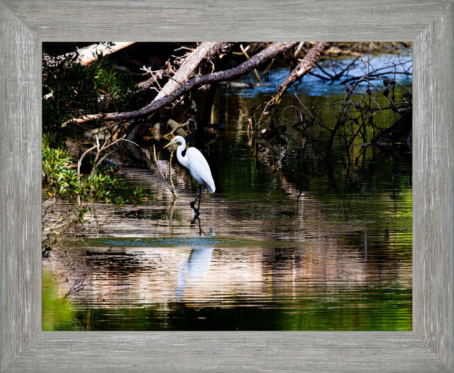 Solitude -- Digital Print