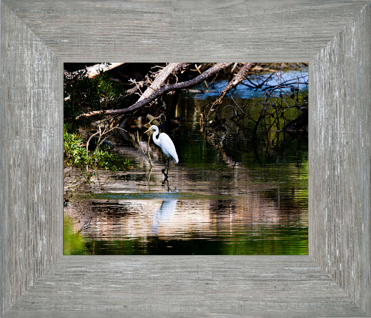 Solitude -- Digital Print