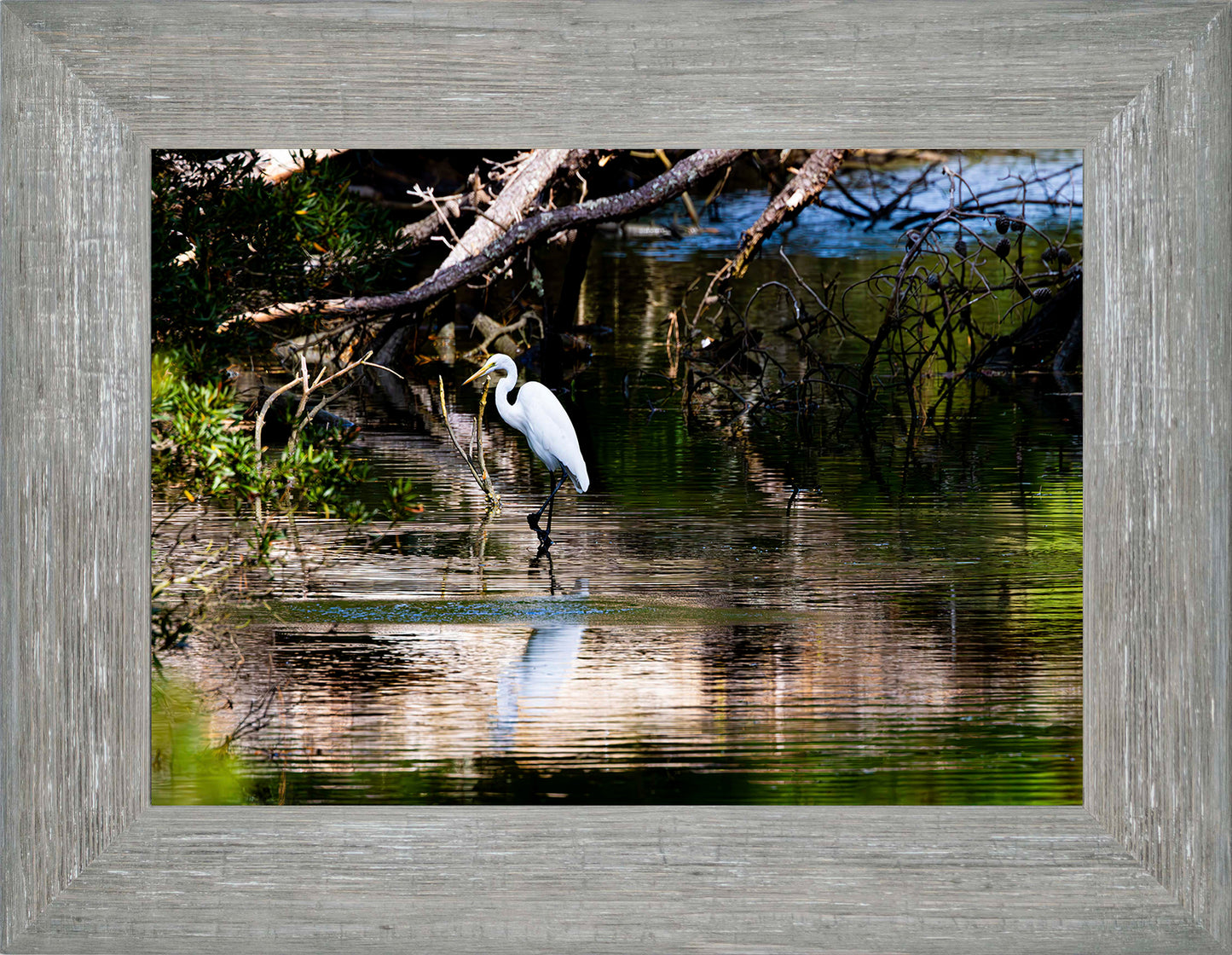 Solitude -- Digital Print