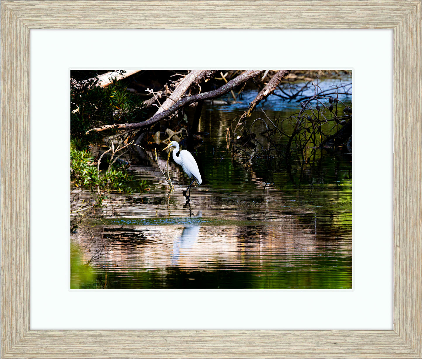 Solitude -- Digital Print