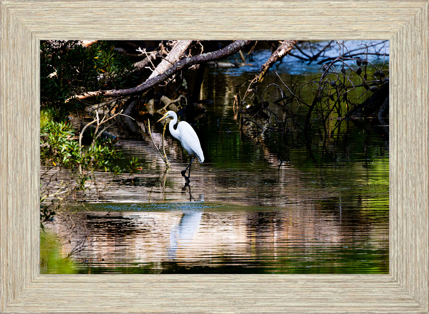 Solitude -- Digital Print