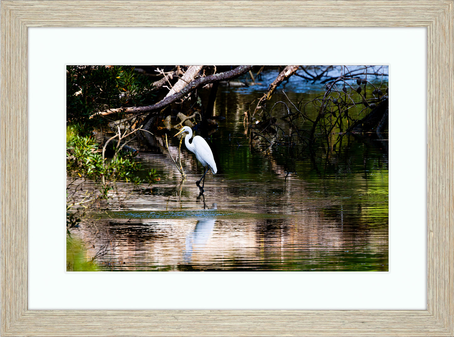 Solitude -- Digital Print