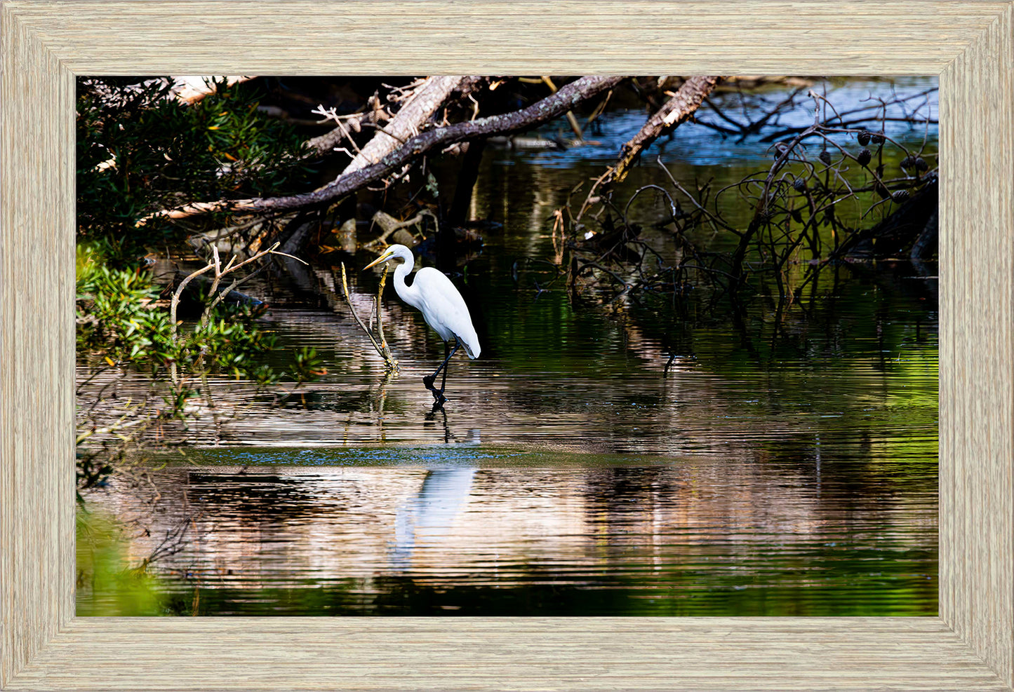 Solitude -- Digital Print