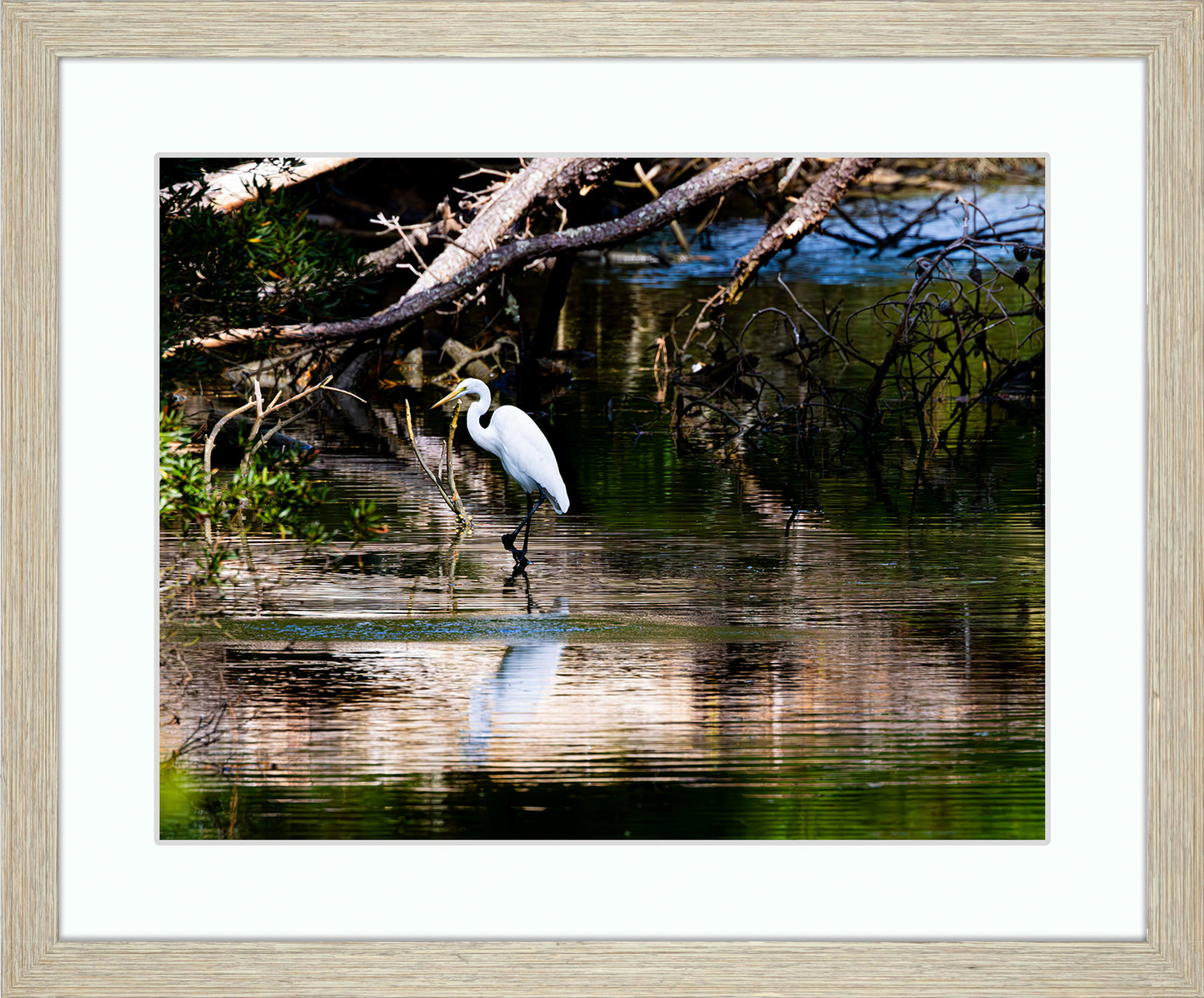 Solitude -- Digital Print