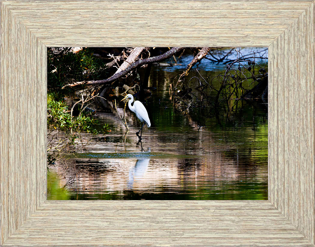 Solitude -- Digital Print