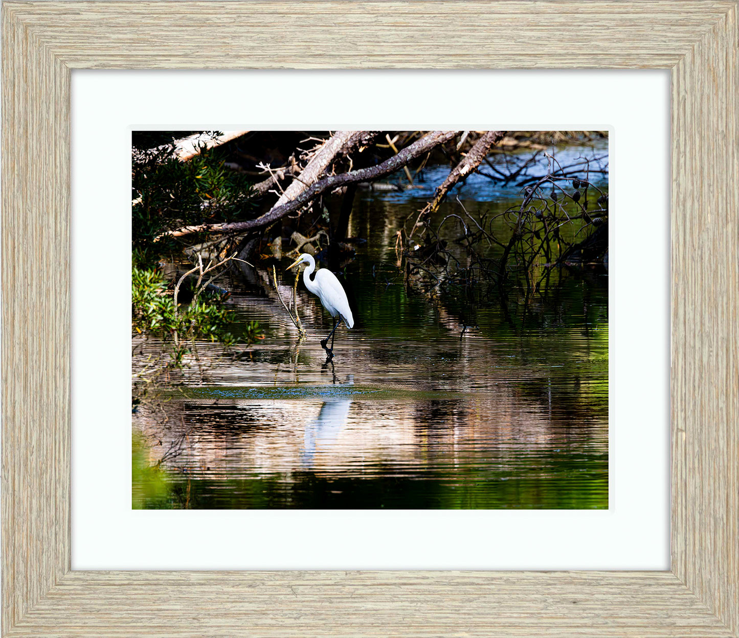 Solitude -- Digital Print