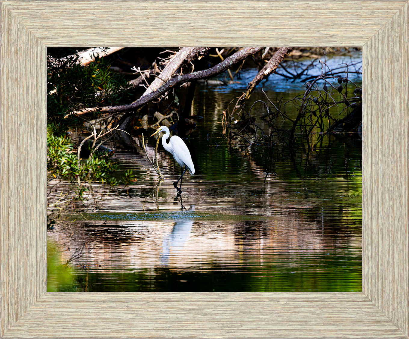 Solitude -- Digital Print