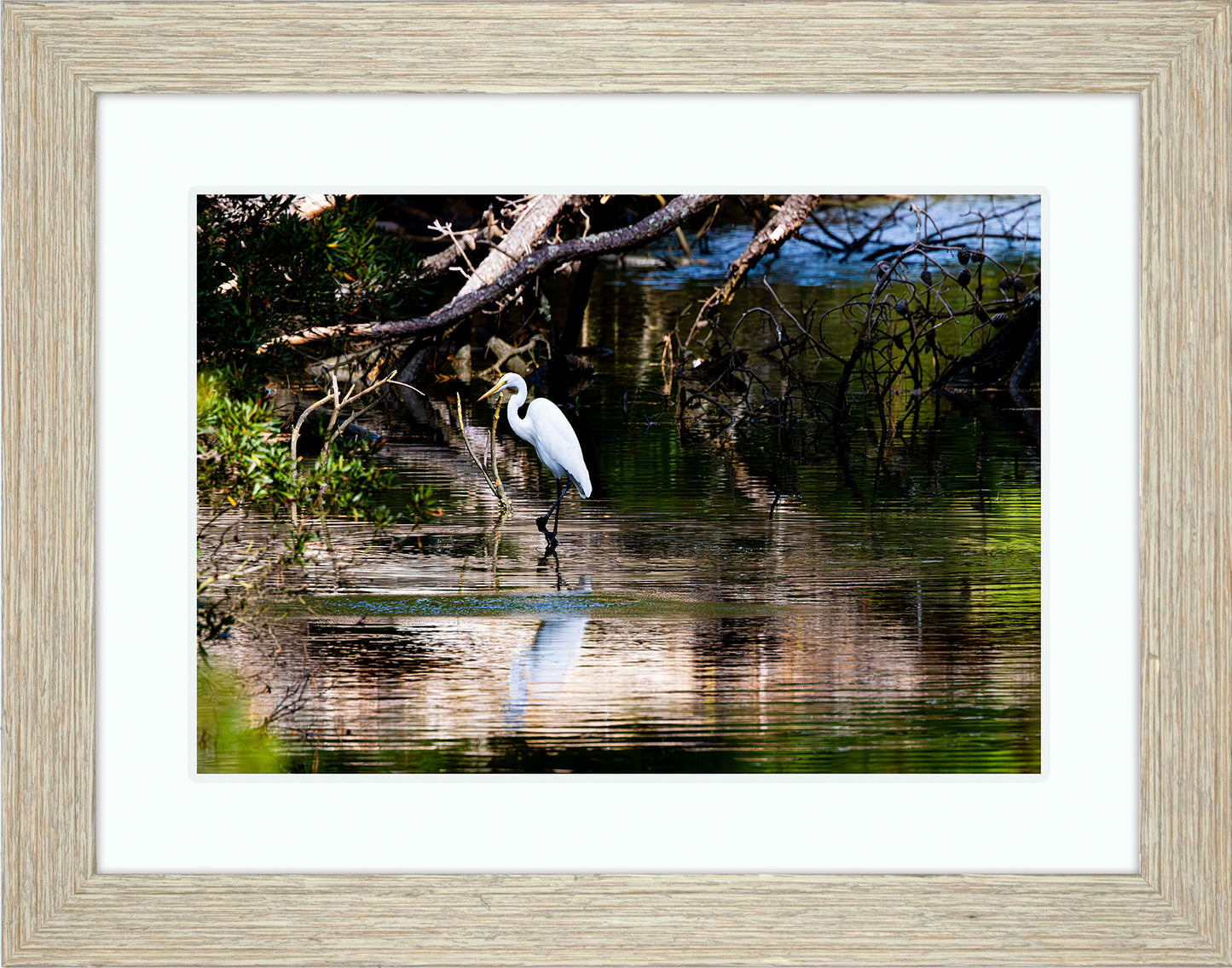 Solitude -- Digital Print