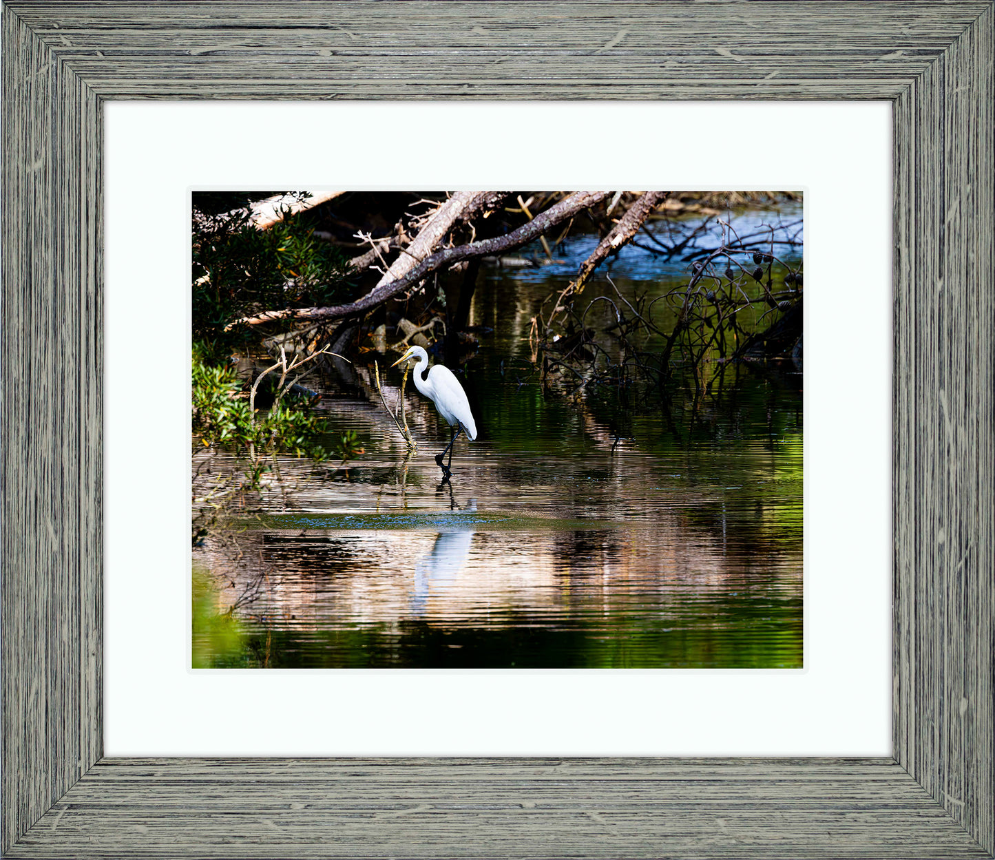 Solitude -- Digital Print