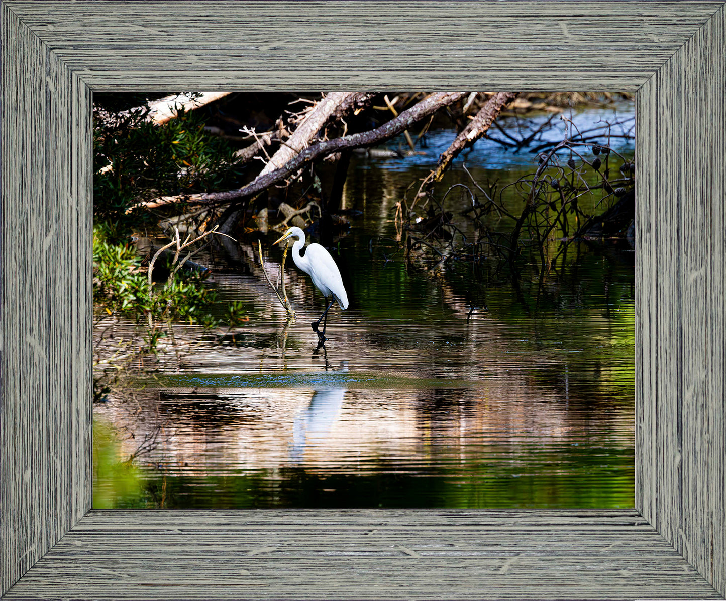 Solitude -- Digital Print