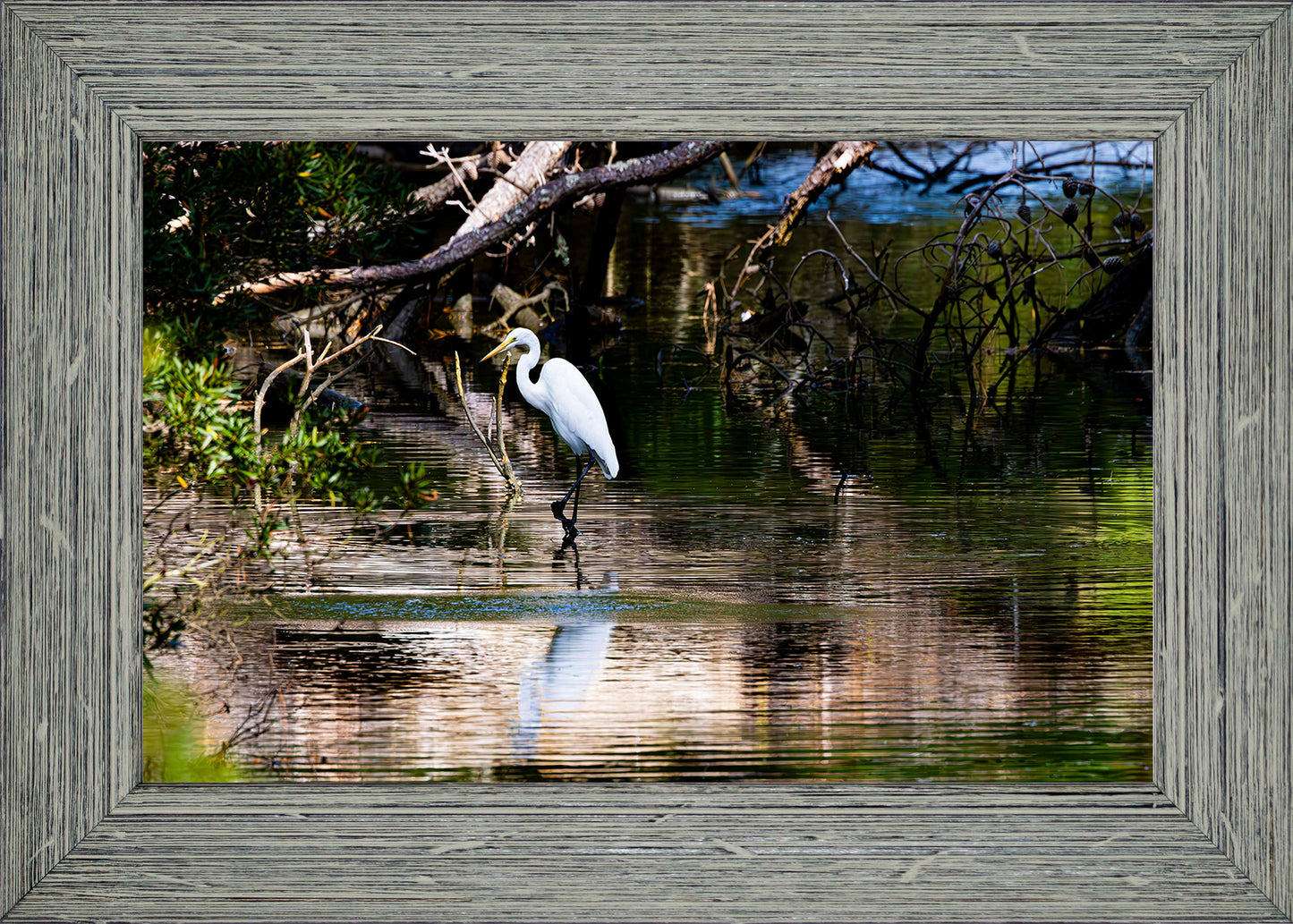 Solitude -- Digital Print