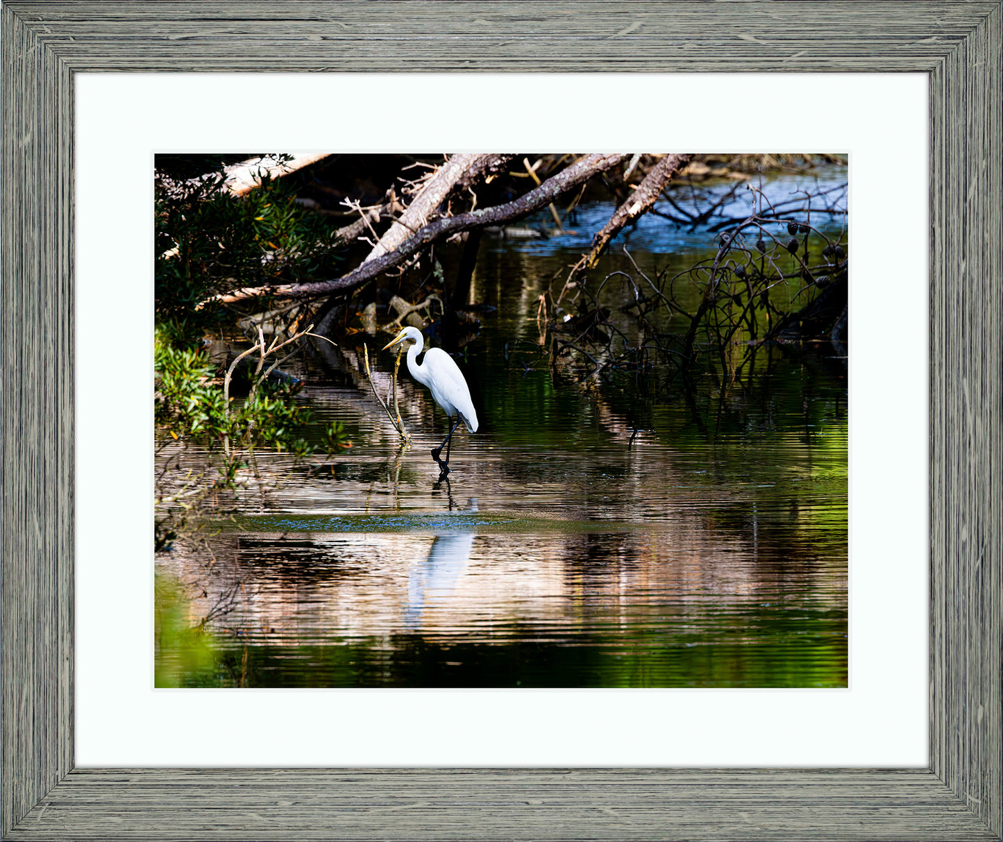 Solitude -- Digital Print