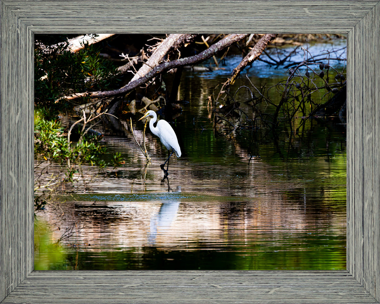 Solitude -- Digital Print