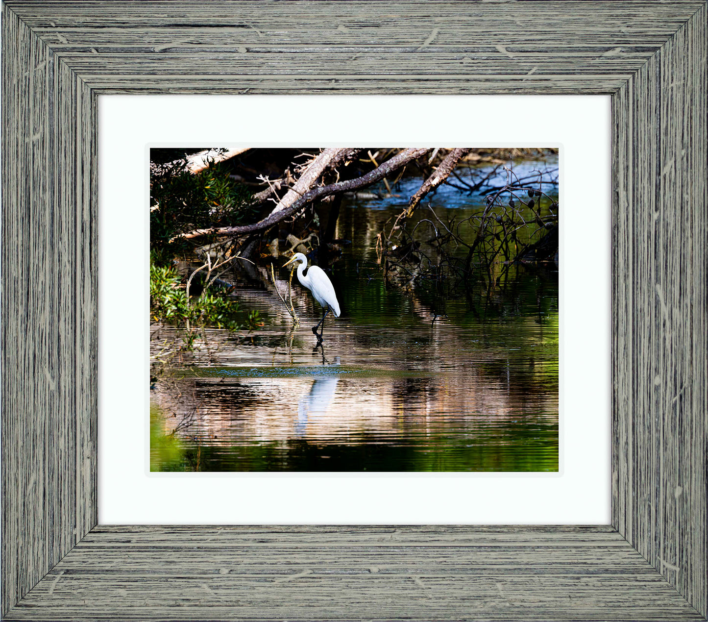 Solitude -- Digital Print