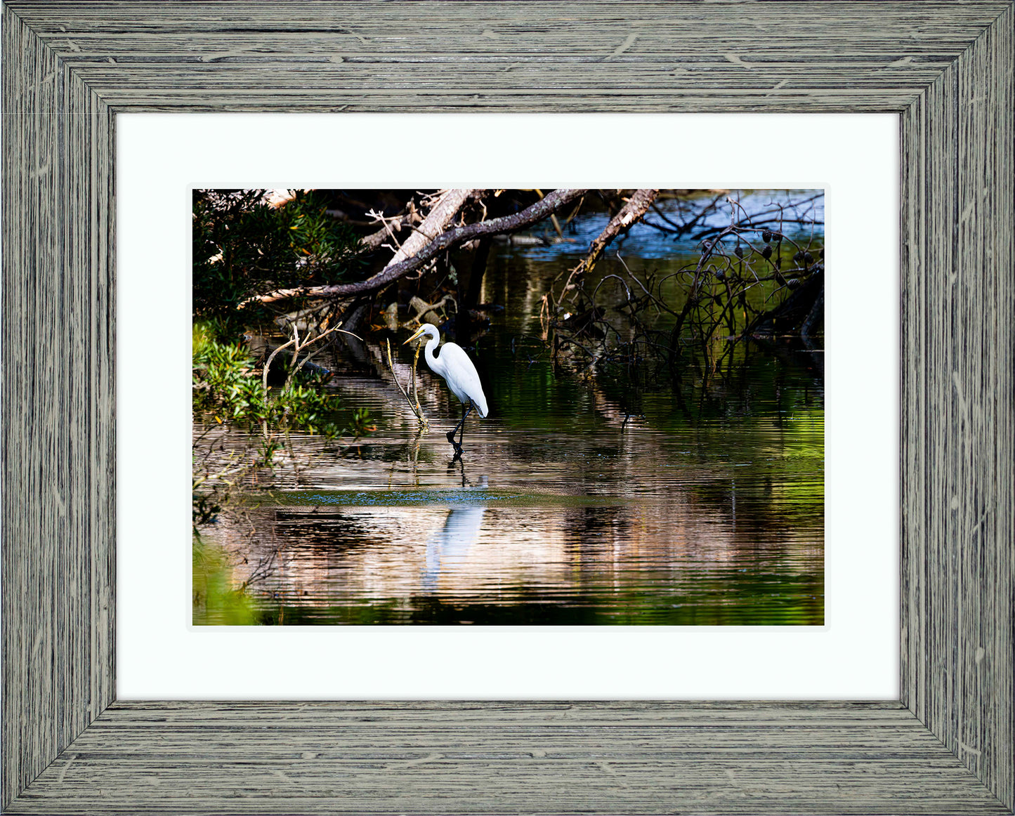 Solitude -- Digital Print