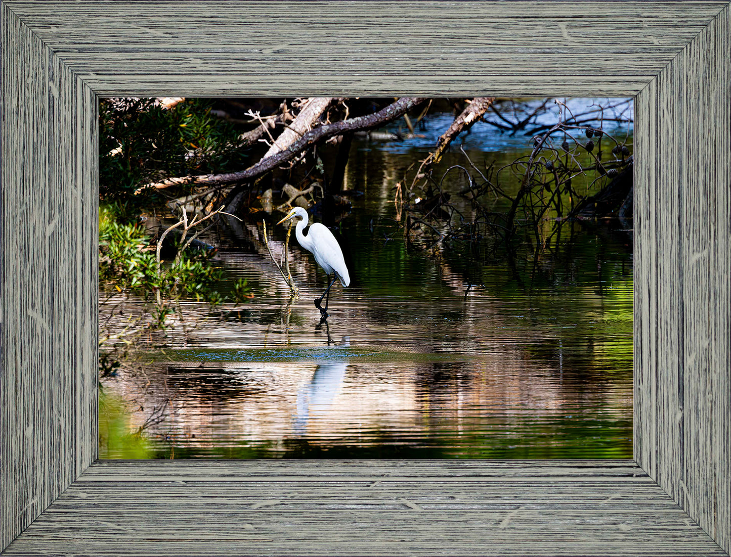 Solitude -- Digital Print