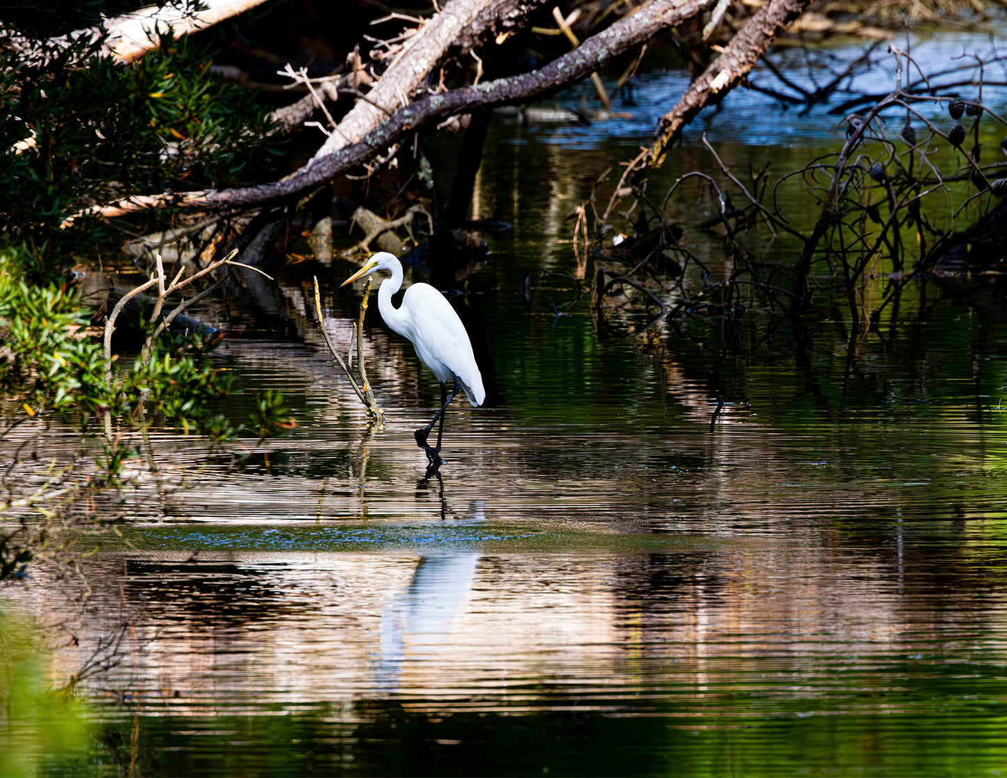 Solitude -- HD Metal