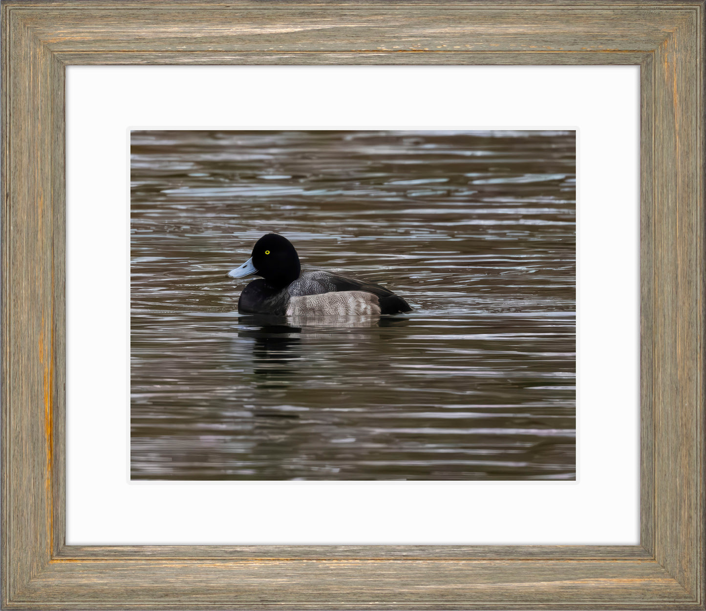 Solo Blue Bill Drake #1