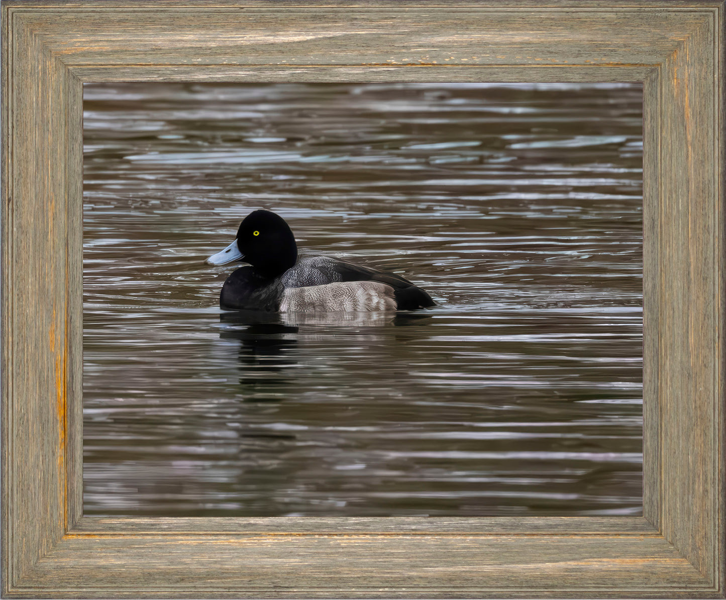 Solo Blue Bill Drake #1