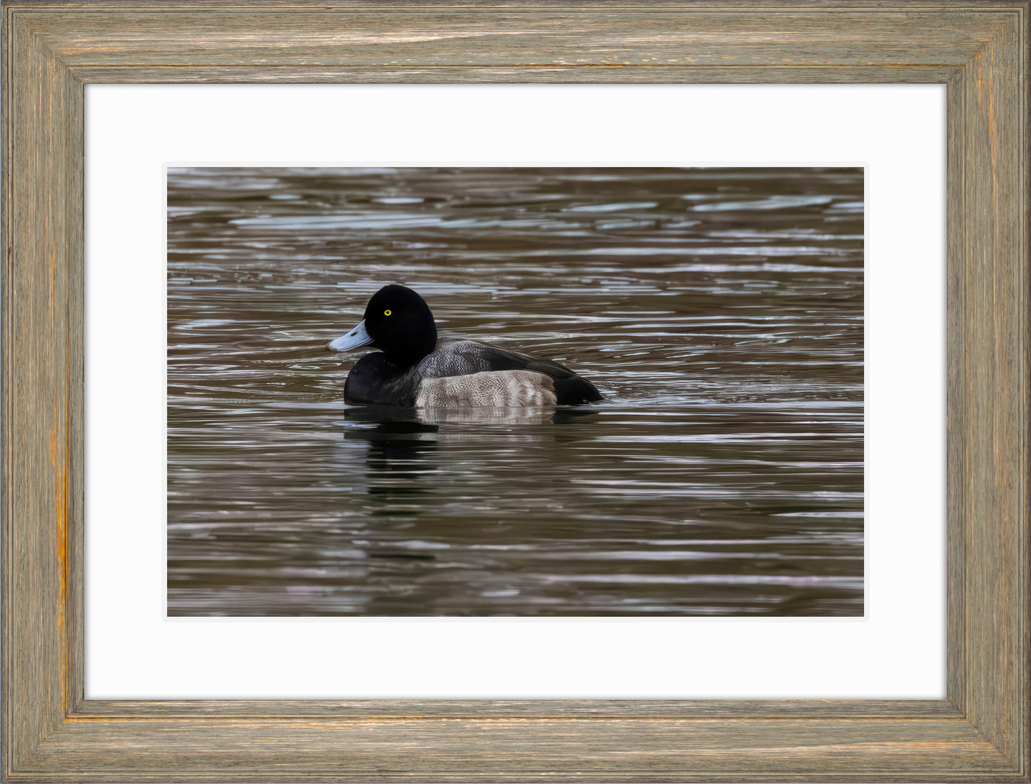 Solo Blue Bill Drake #1