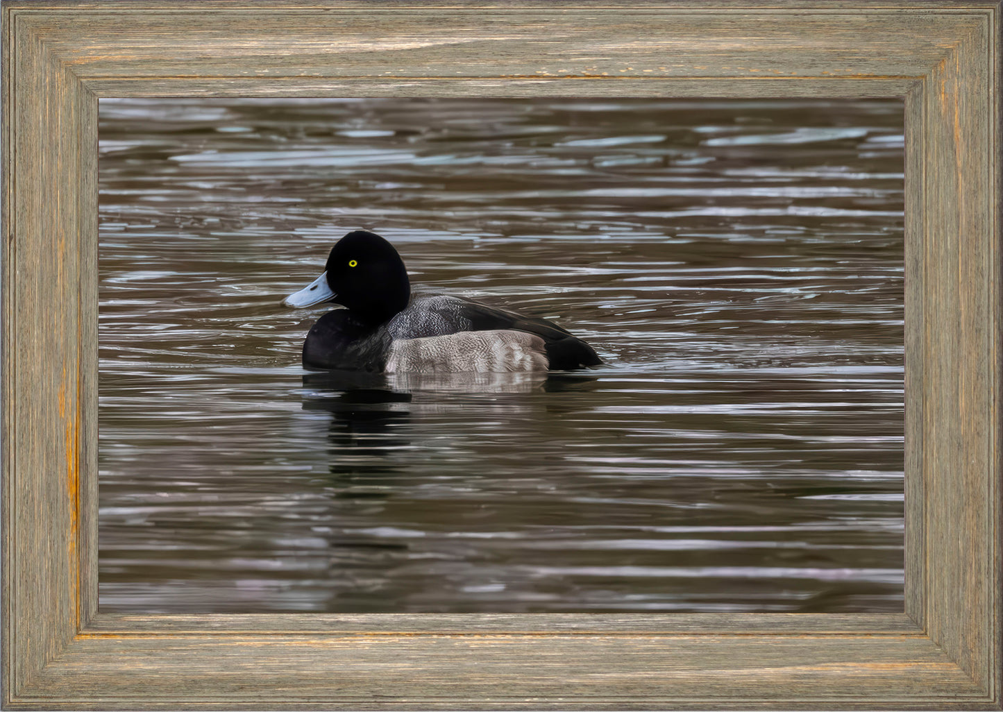 Solo Blue Bill Drake #1