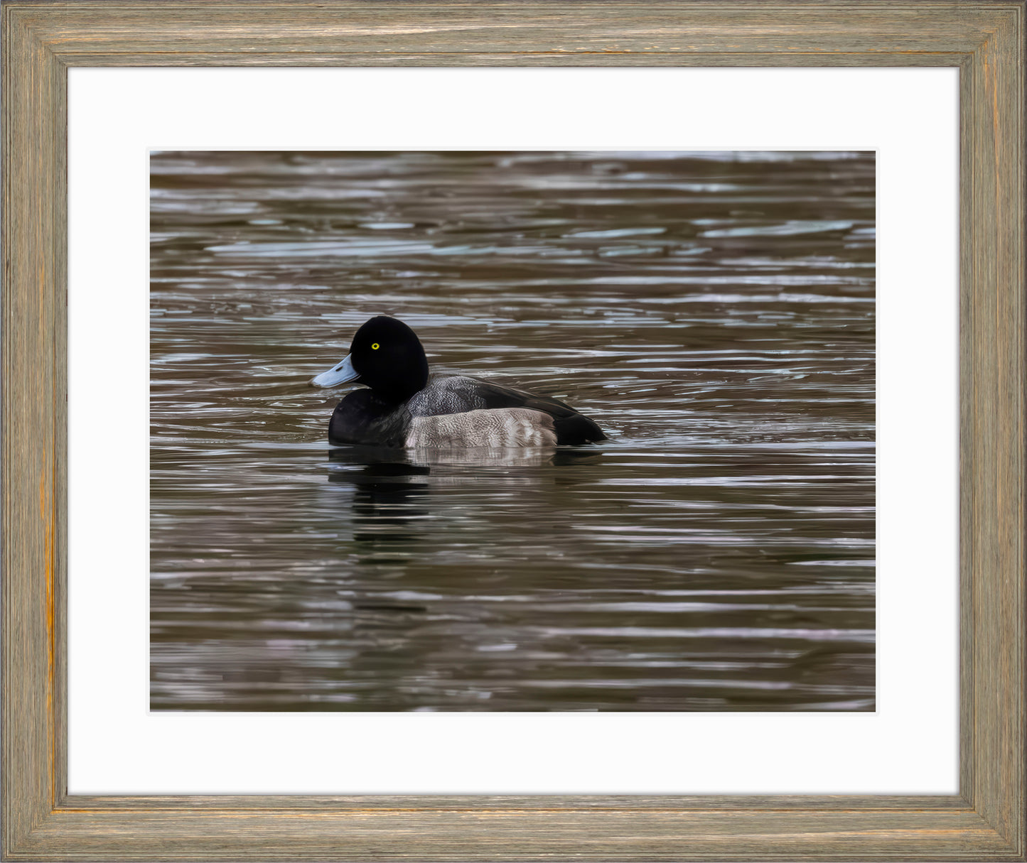 Solo Blue Bill Drake #1