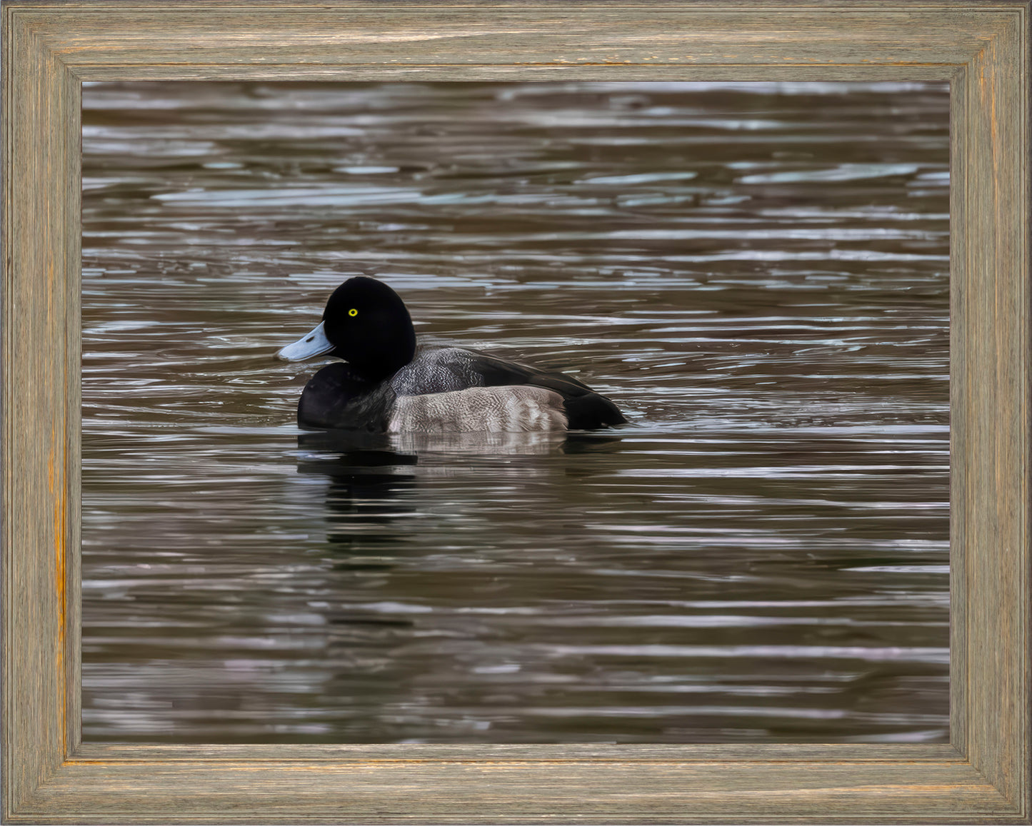 Solo Blue Bill Drake #1