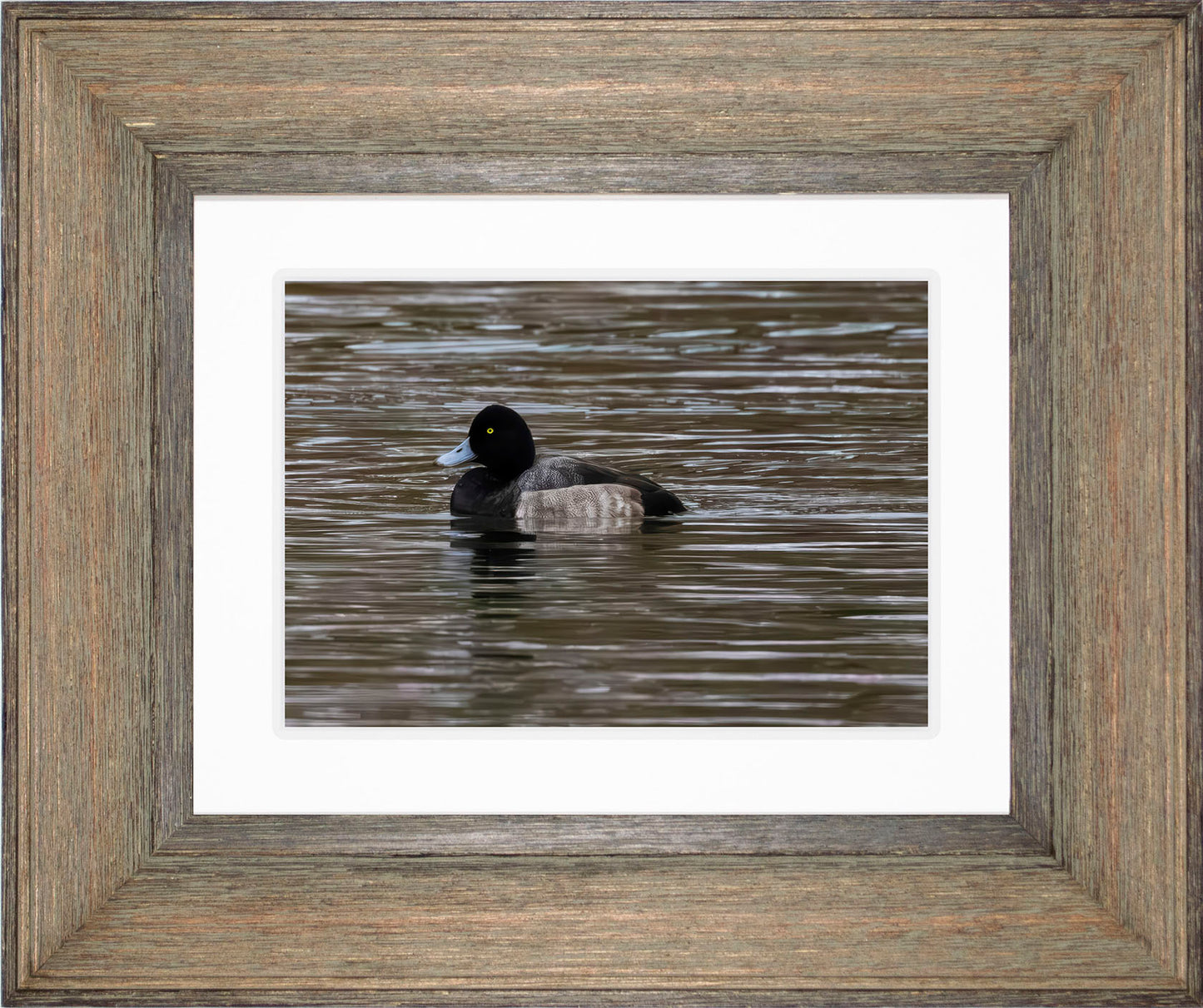 Solo Blue Bill Drake #1