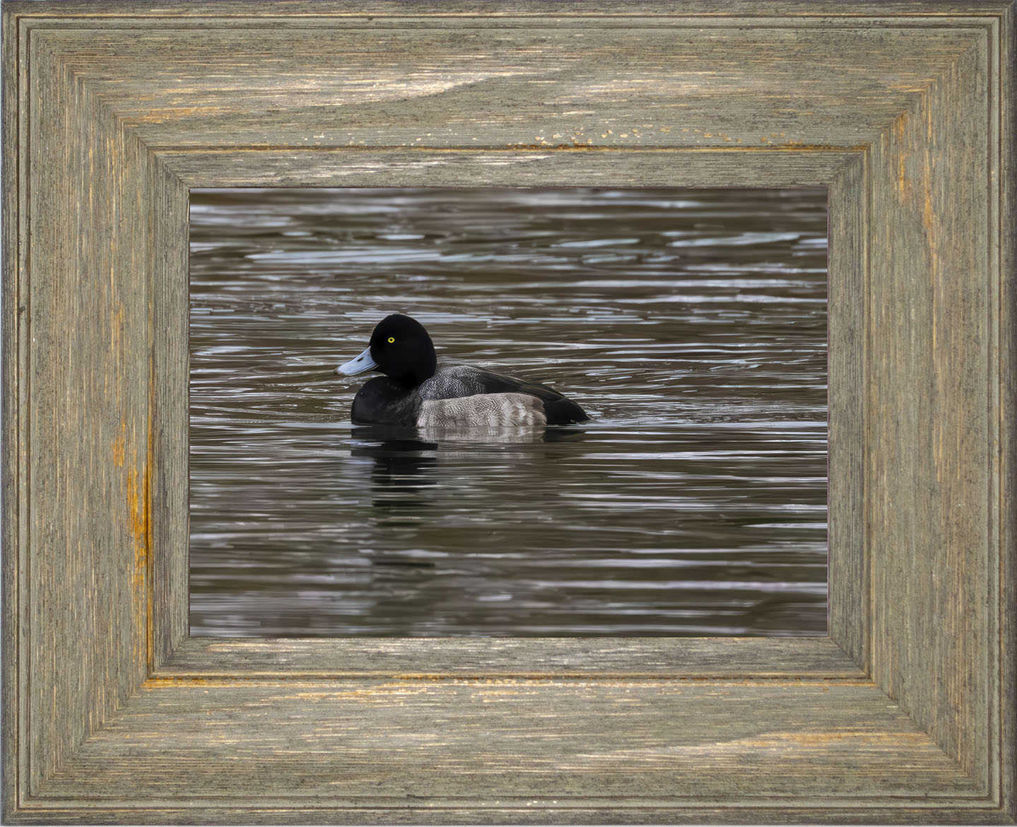 Solo Blue Bill Drake #1