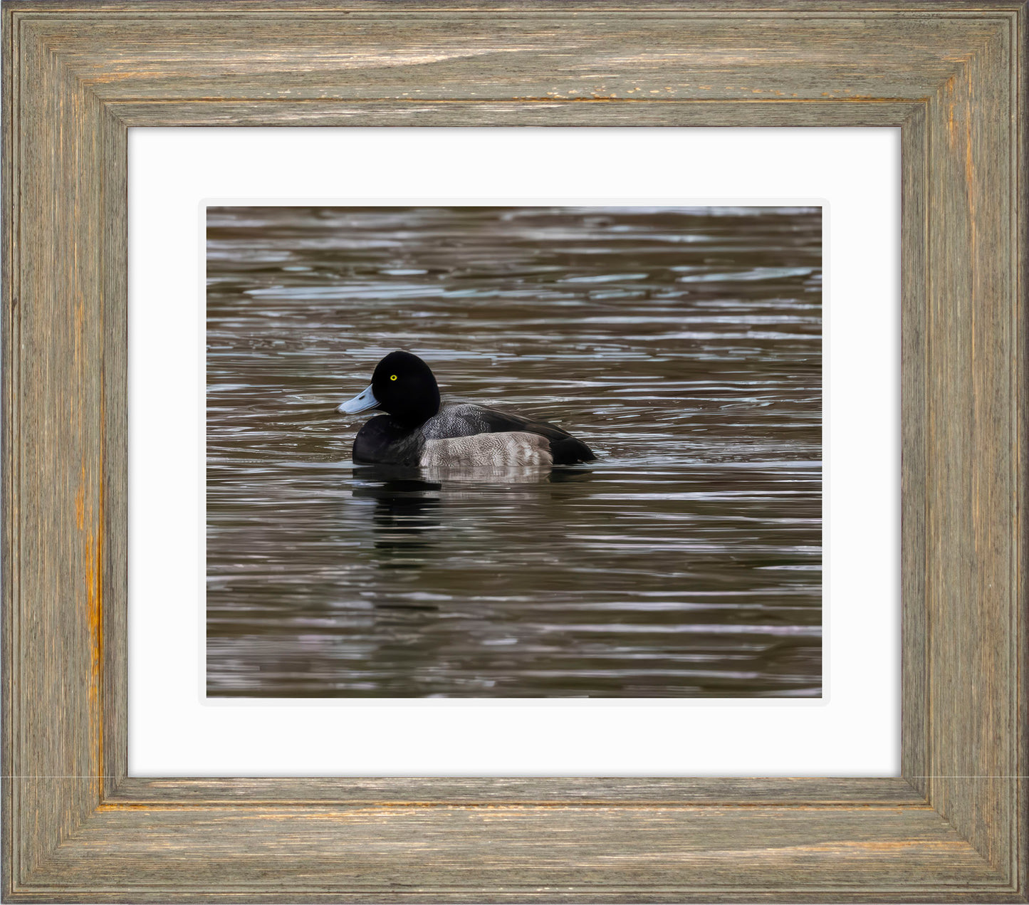 Solo Blue Bill Drake #1