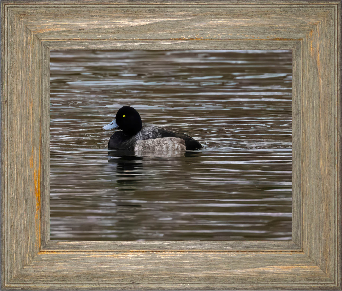 Solo Blue Bill Drake #1