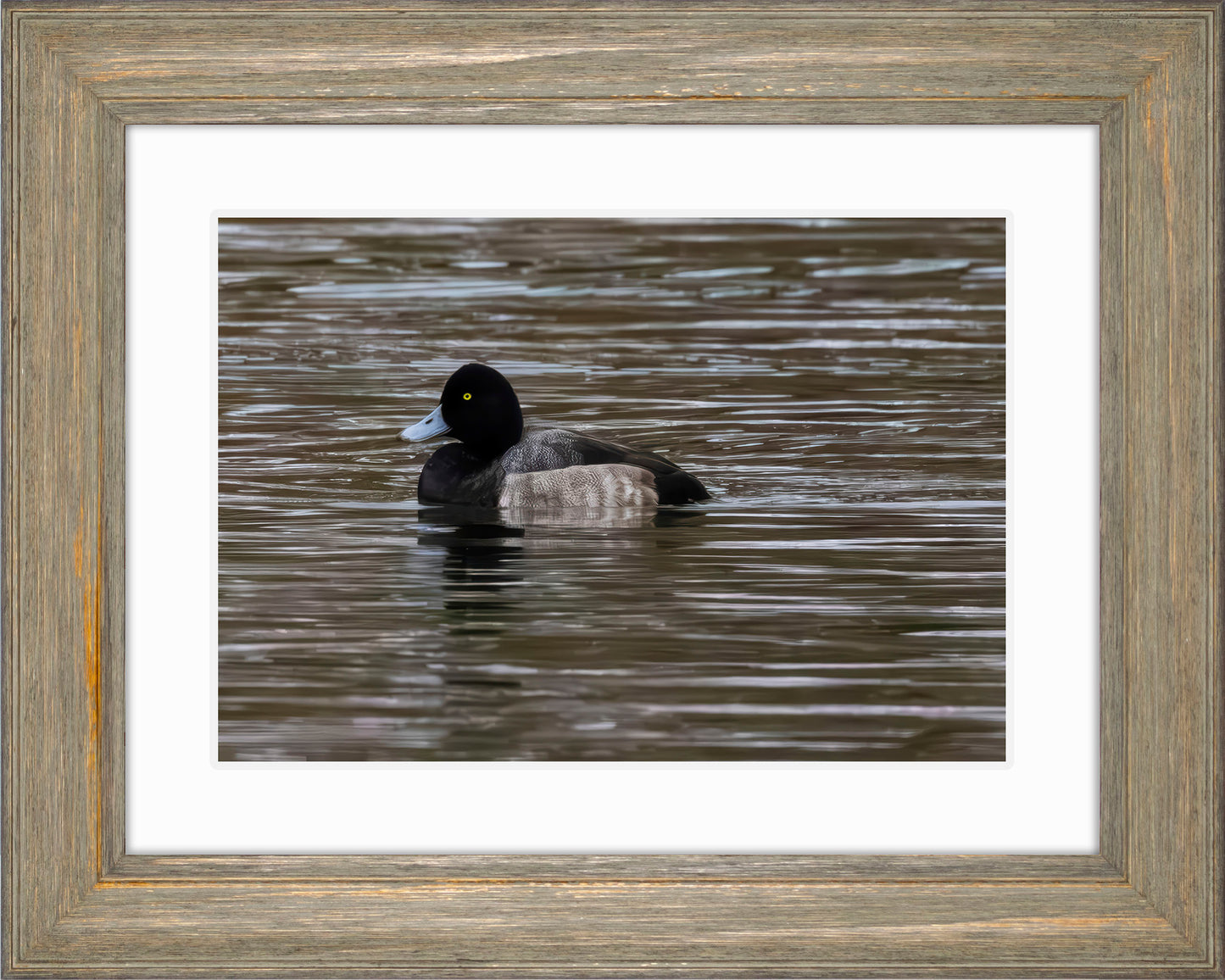 Solo Blue Bill Drake #1