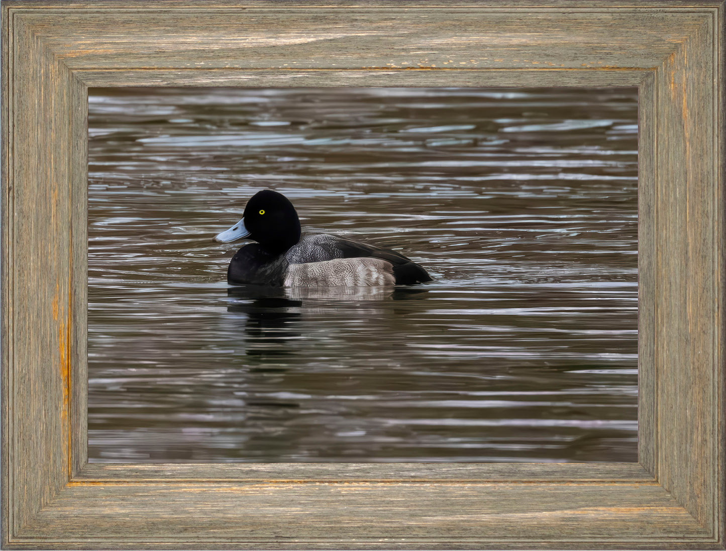 Solo Blue Bill Drake #1