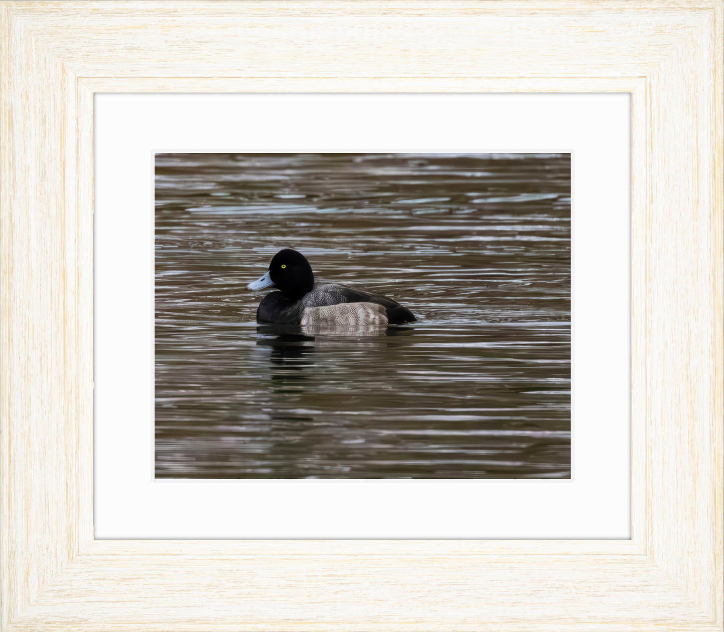 Solo Blue Bill Drake #1