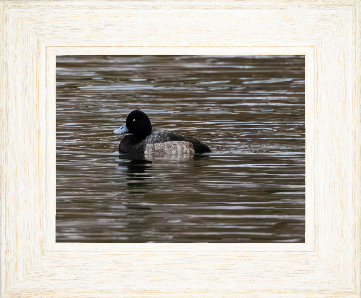 Solo Blue Bill Drake #1