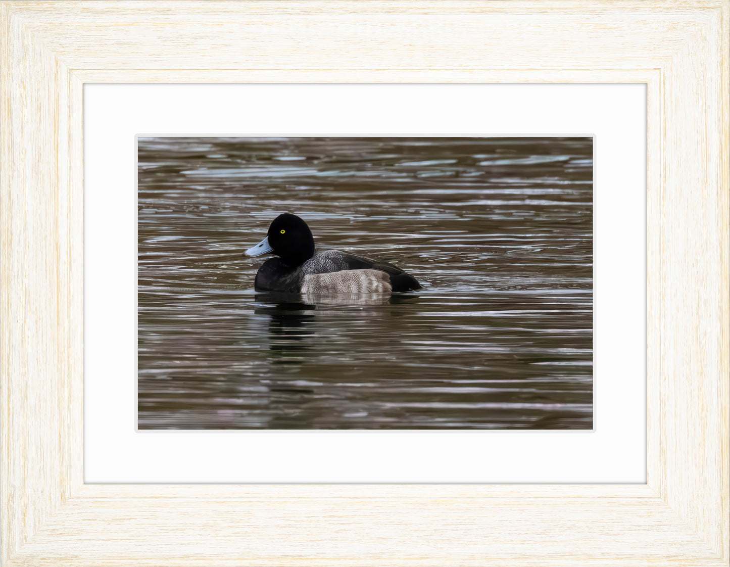 Solo Blue Bill Drake #1