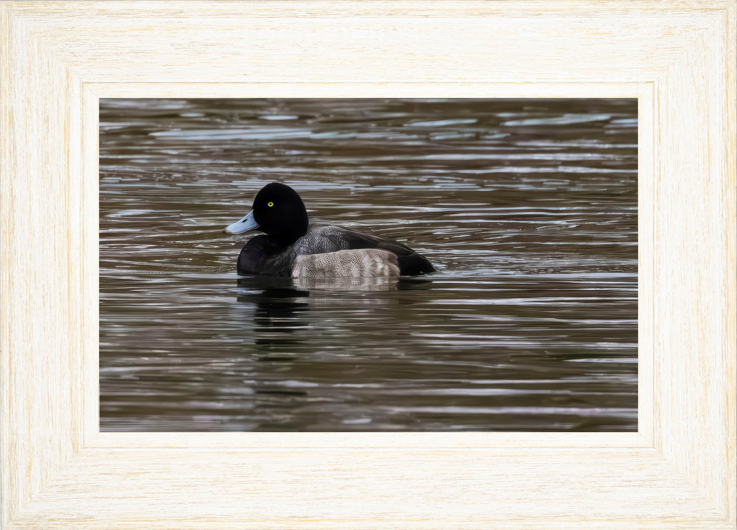 Solo Blue Bill Drake #1