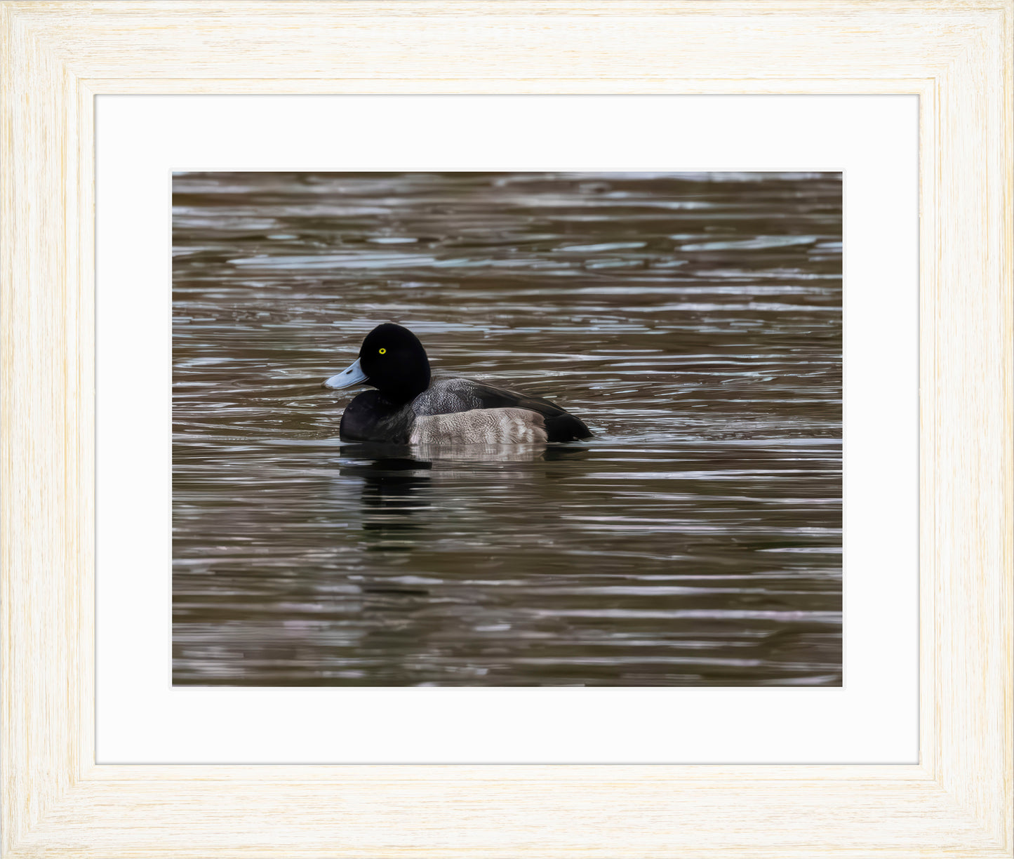 Solo Blue Bill Drake #1